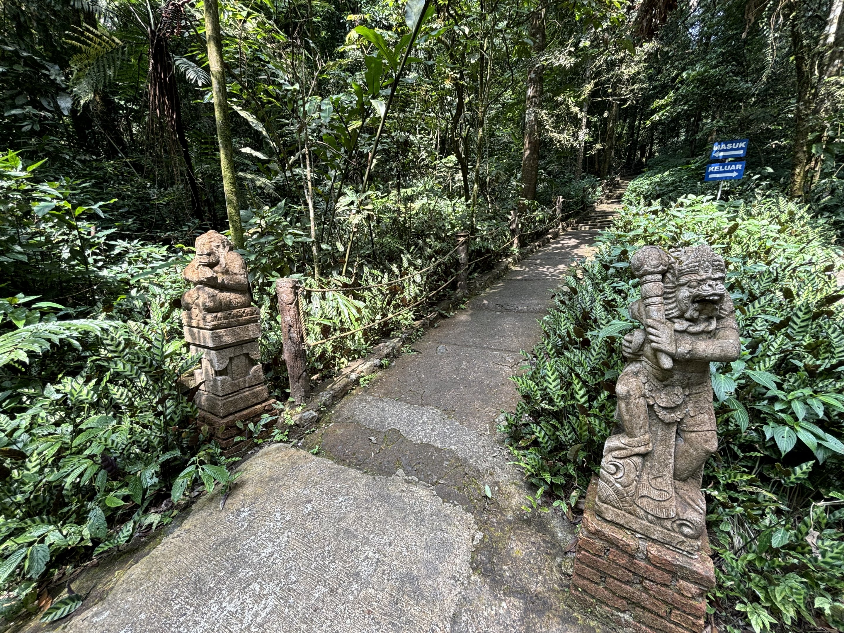 Jungle Trail - to waterfall