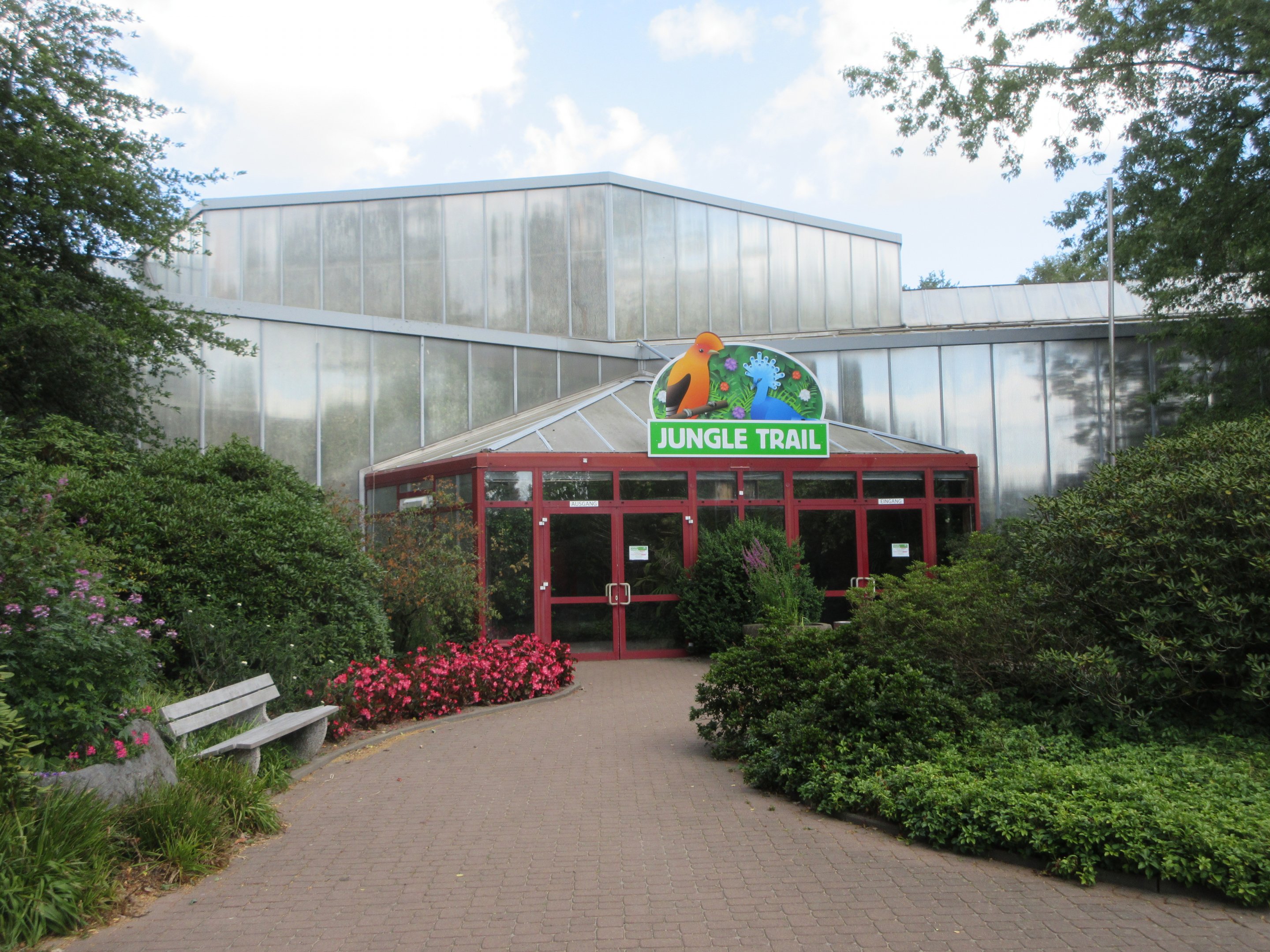 Jungle Trail - Tropical House