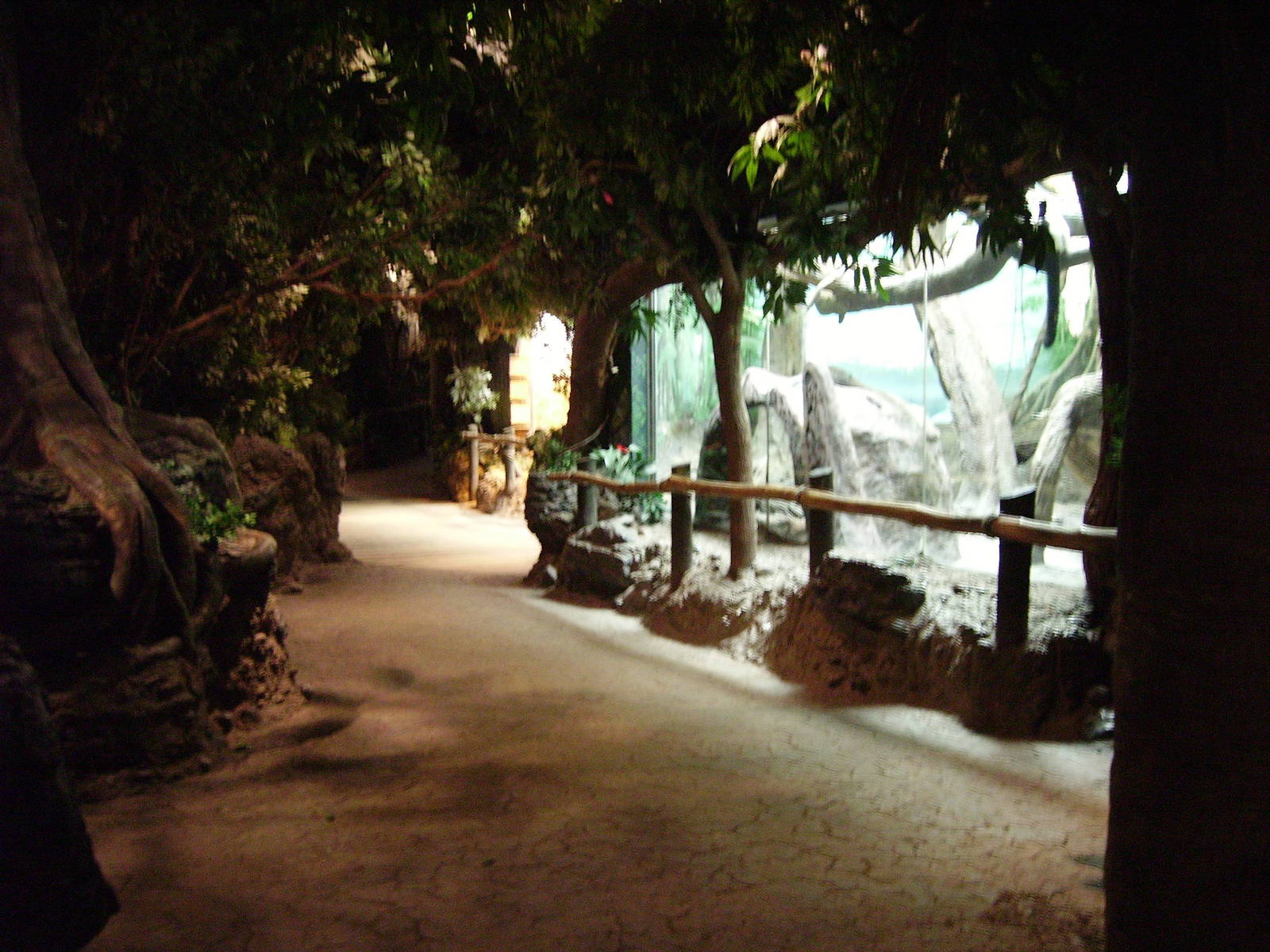 Jungle Trails - Africa Building Interior