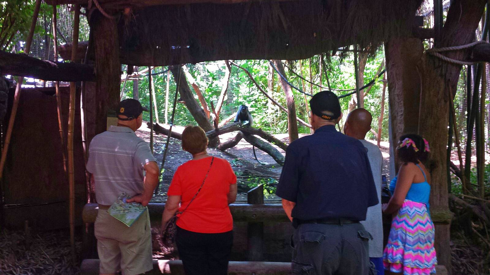 Jungle Trails - Africa