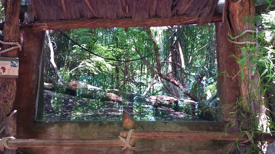 Jungle Trails - Africa