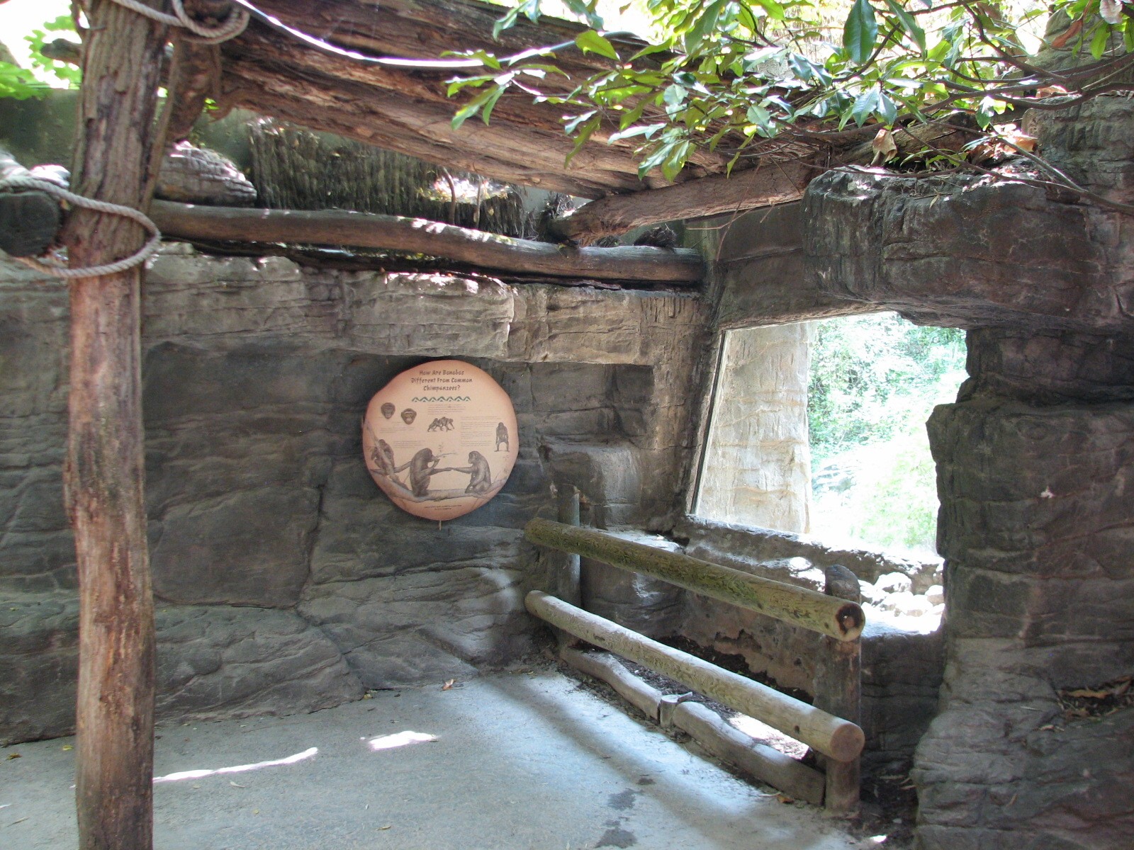 Jungle Trails - Bonobo Exhibit Viewing Shelter