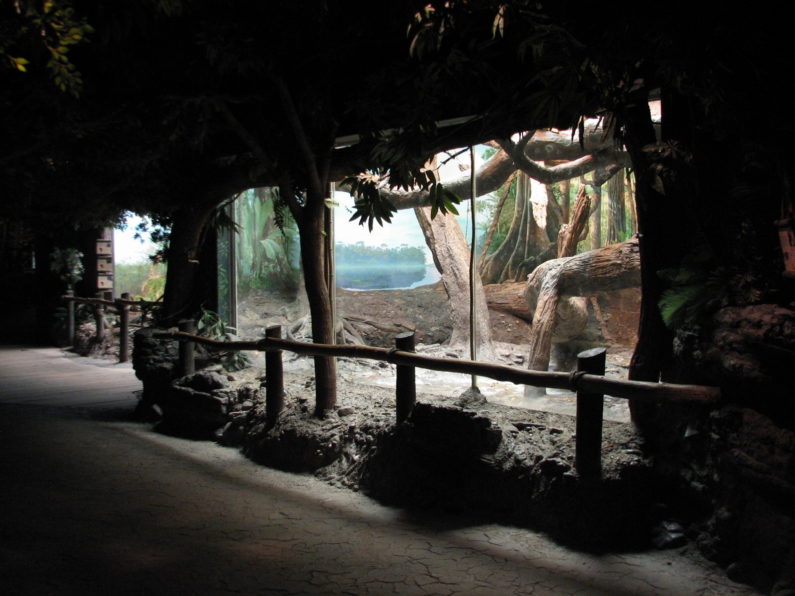 Jungle Trails - Diana Monkey Exhibit