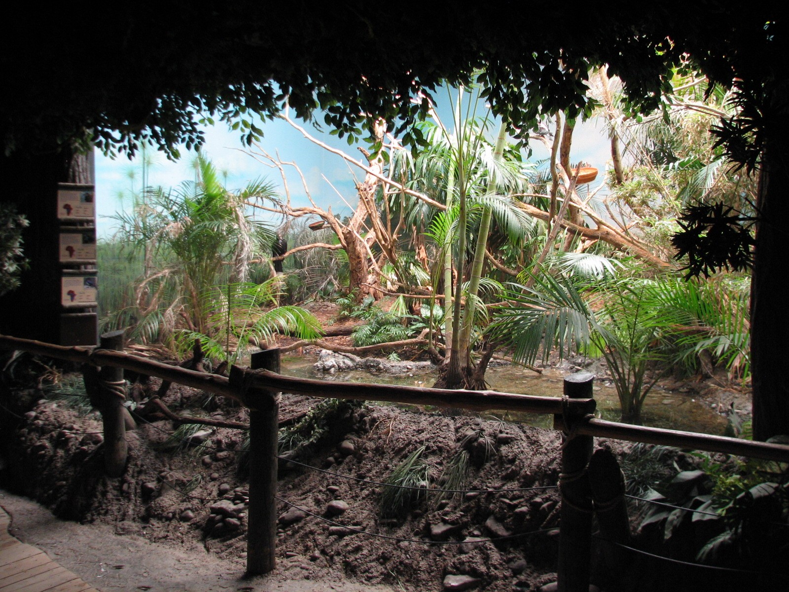 Jungle Trails - Interior African Aviary