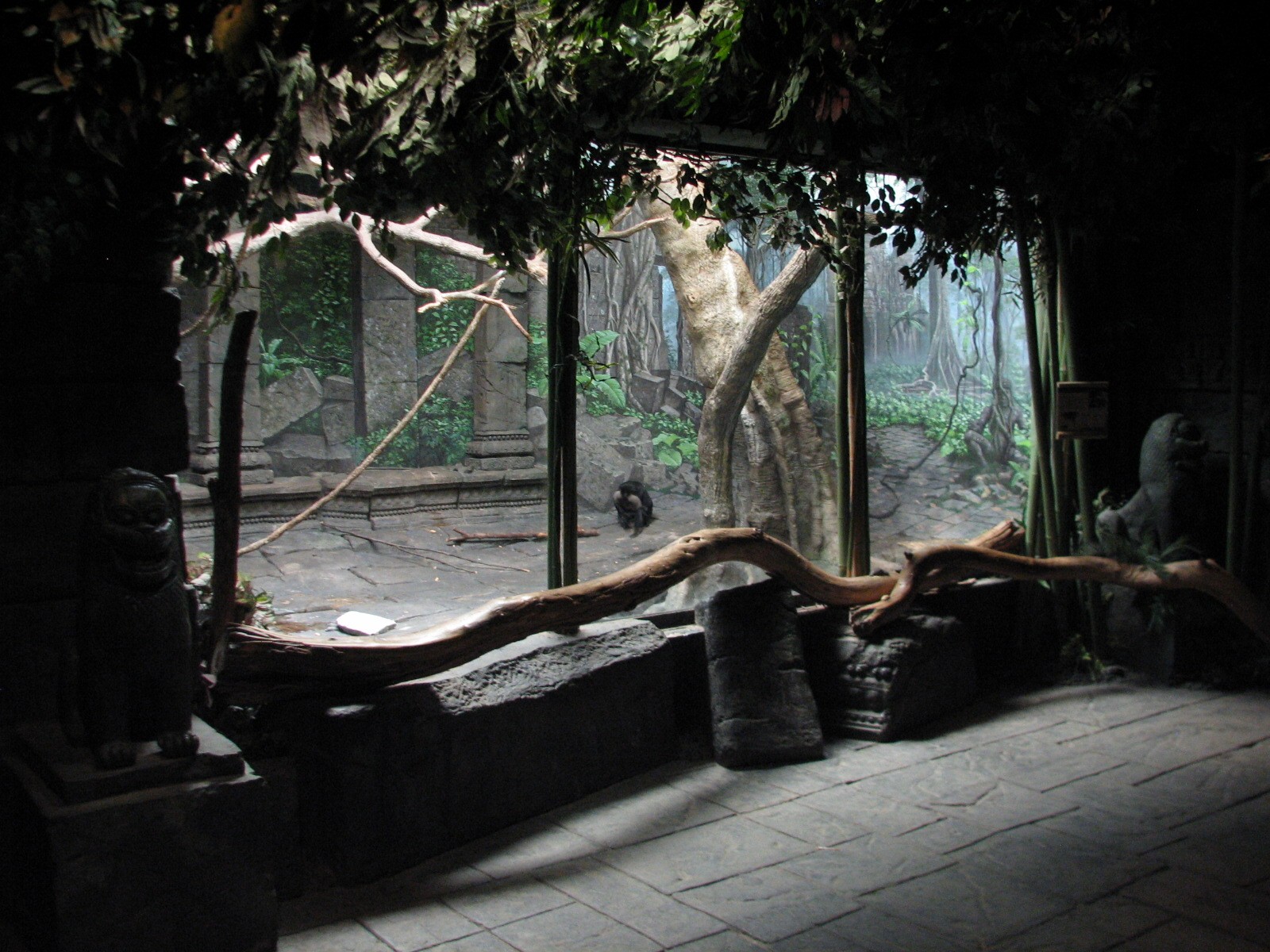 Jungle Trails - Lion Tailed Macaque Exhibit