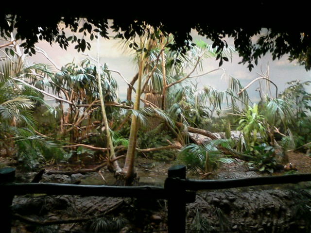 Jungle Trails- Mixed Species Aviary