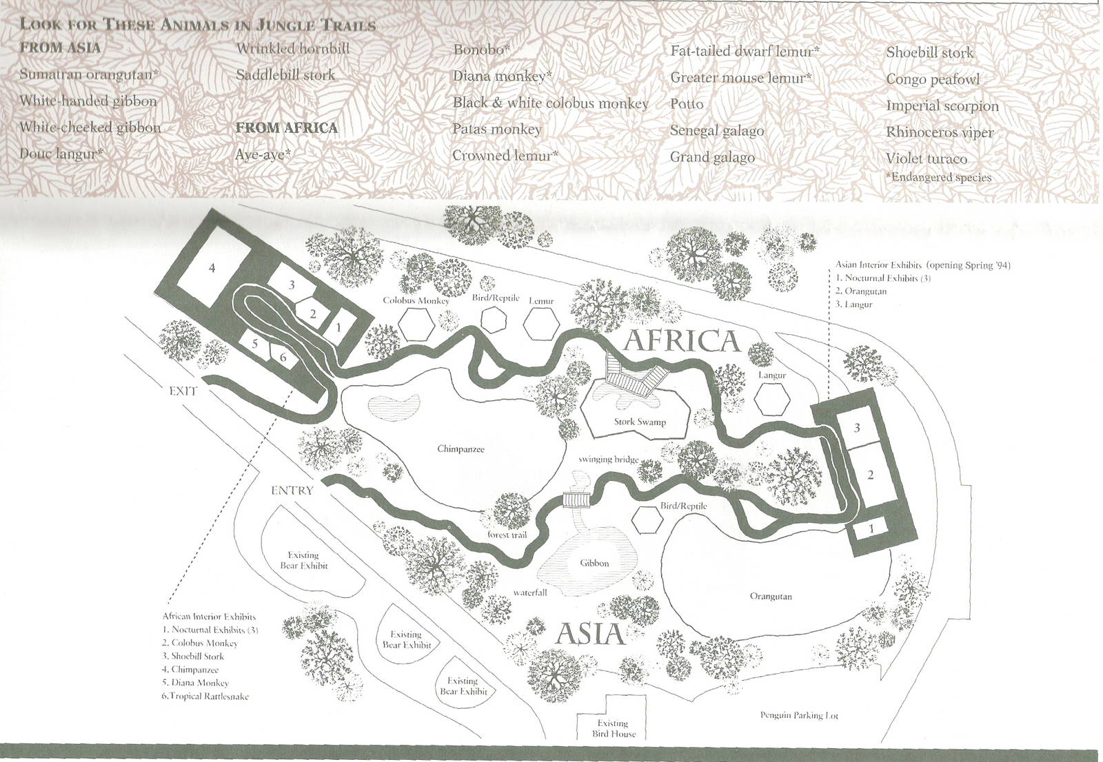 Jungle Trails Plan