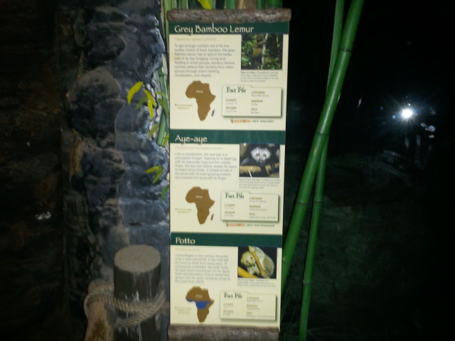 Jungle Trails Signs