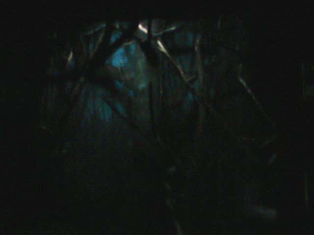 Jungle Trails- Tropical Asian Animals- Slender-tailed Cloud Rat exhibit