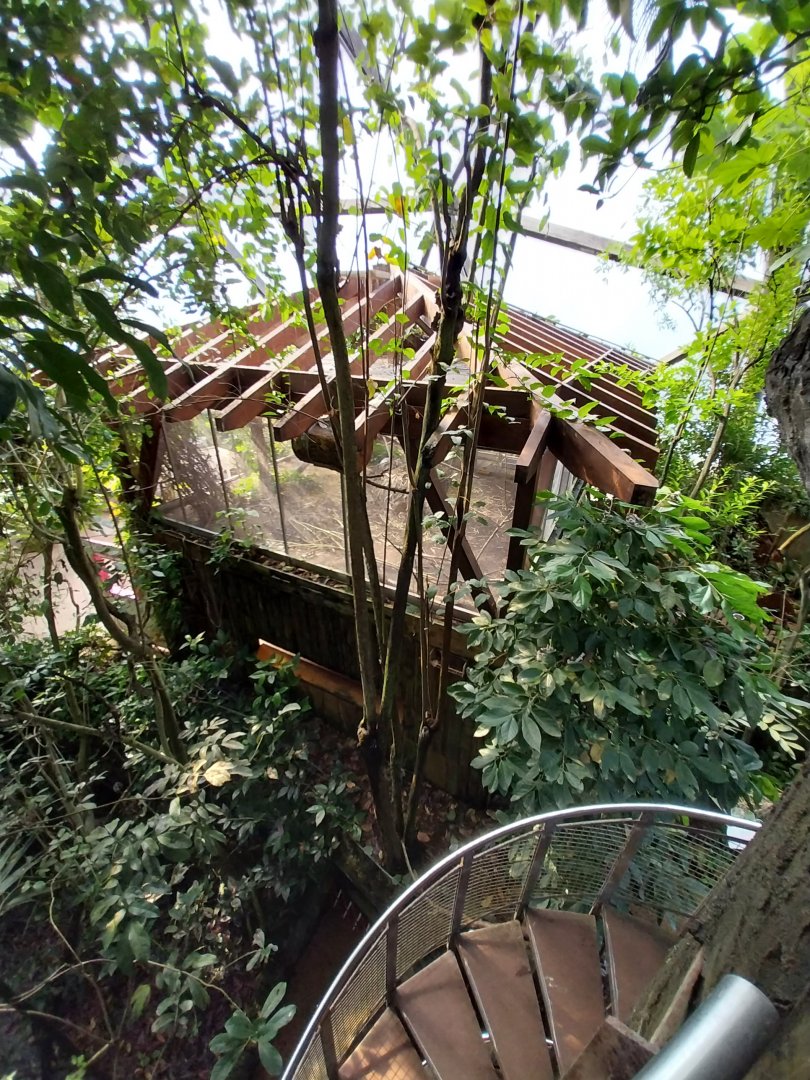 Jungle Trek dome - Canopy walk - Enclosure