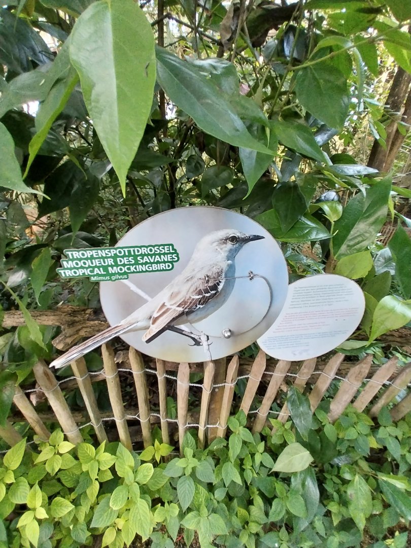 Jungle Trek dome - Species sign