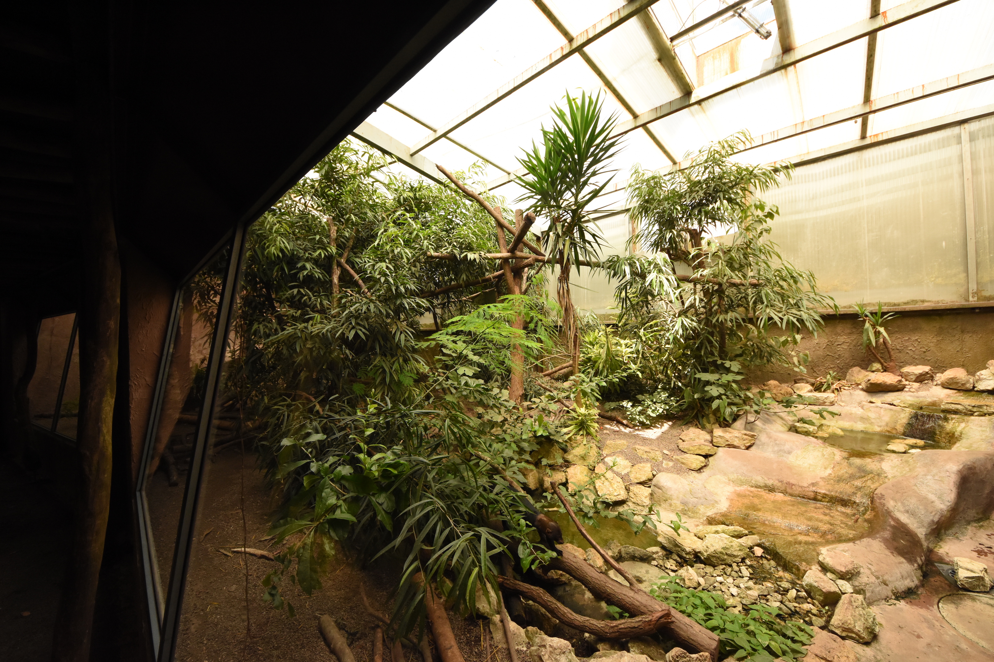 Jungle trek - Enclosures