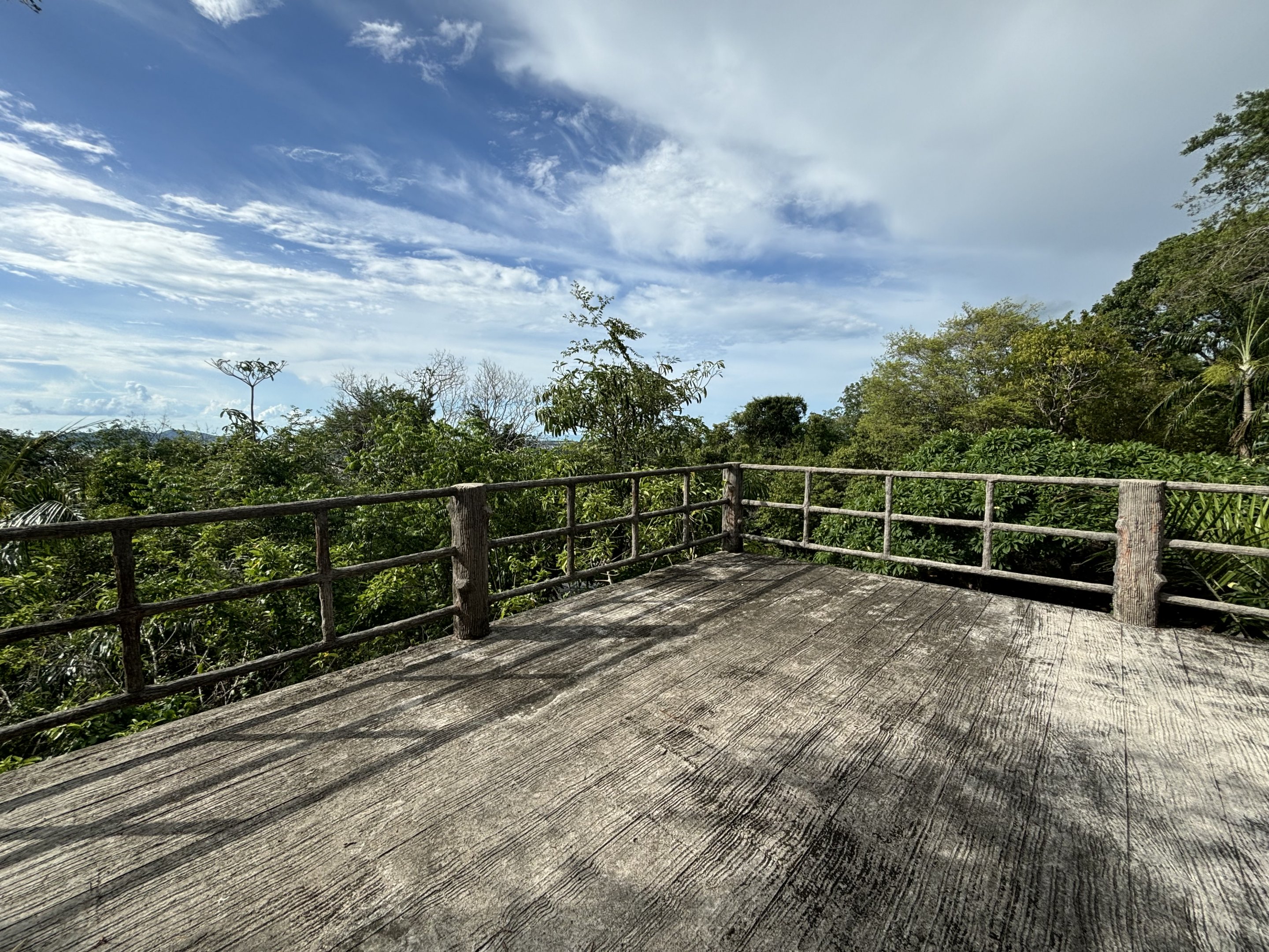 Jungle View Boardwalk