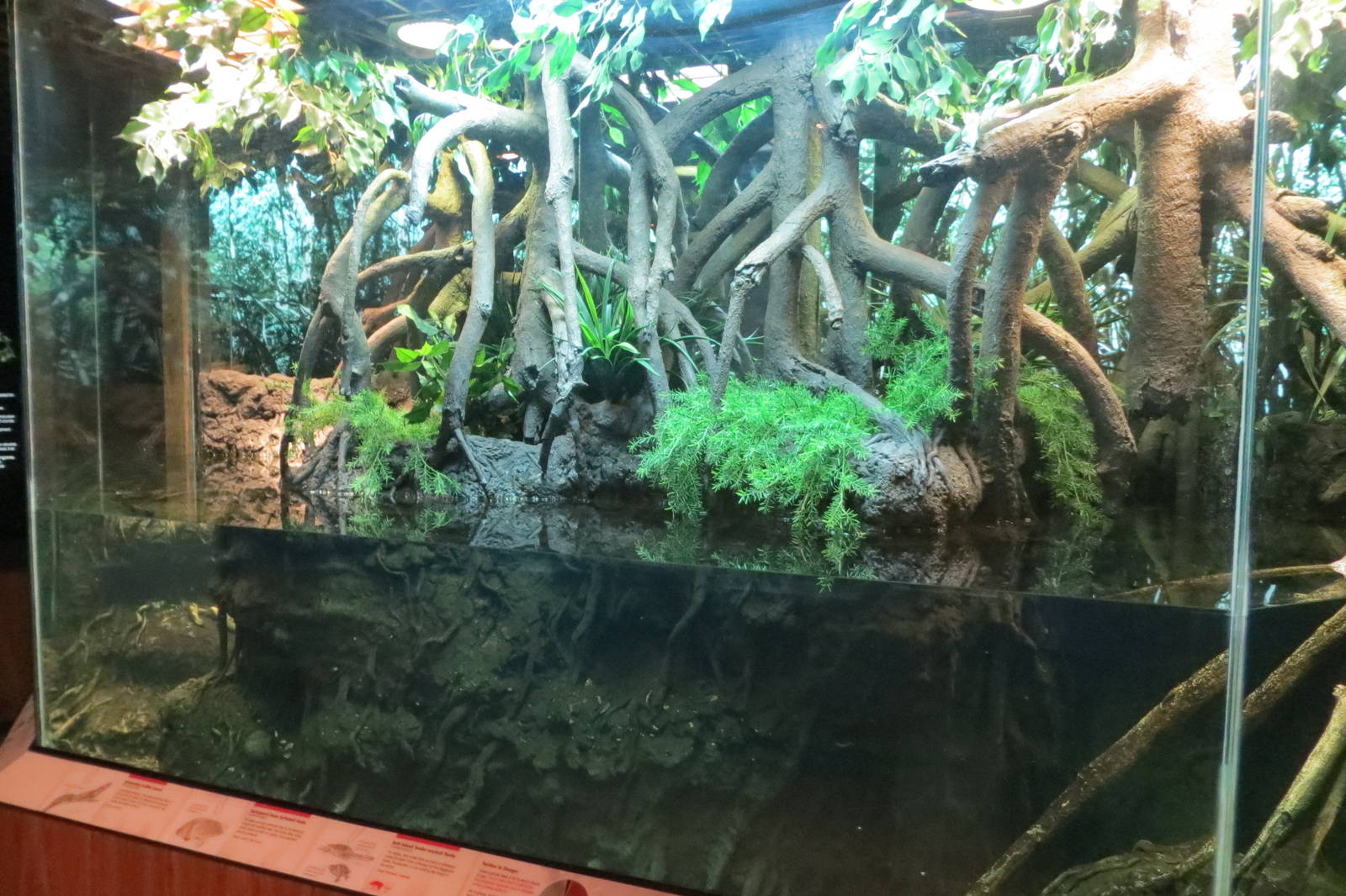 Jungle World exhibit 031215