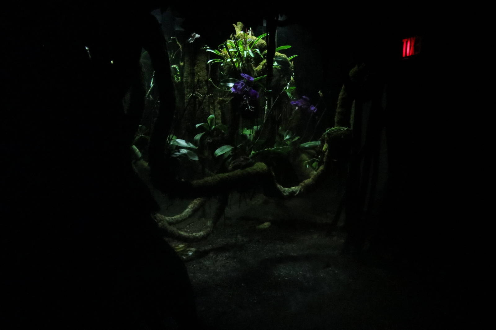 Jungle World exhibit 031215