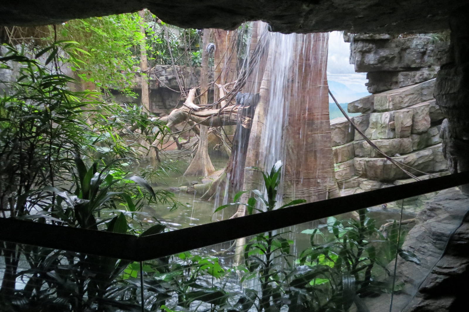 Jungle World exhibit 031215