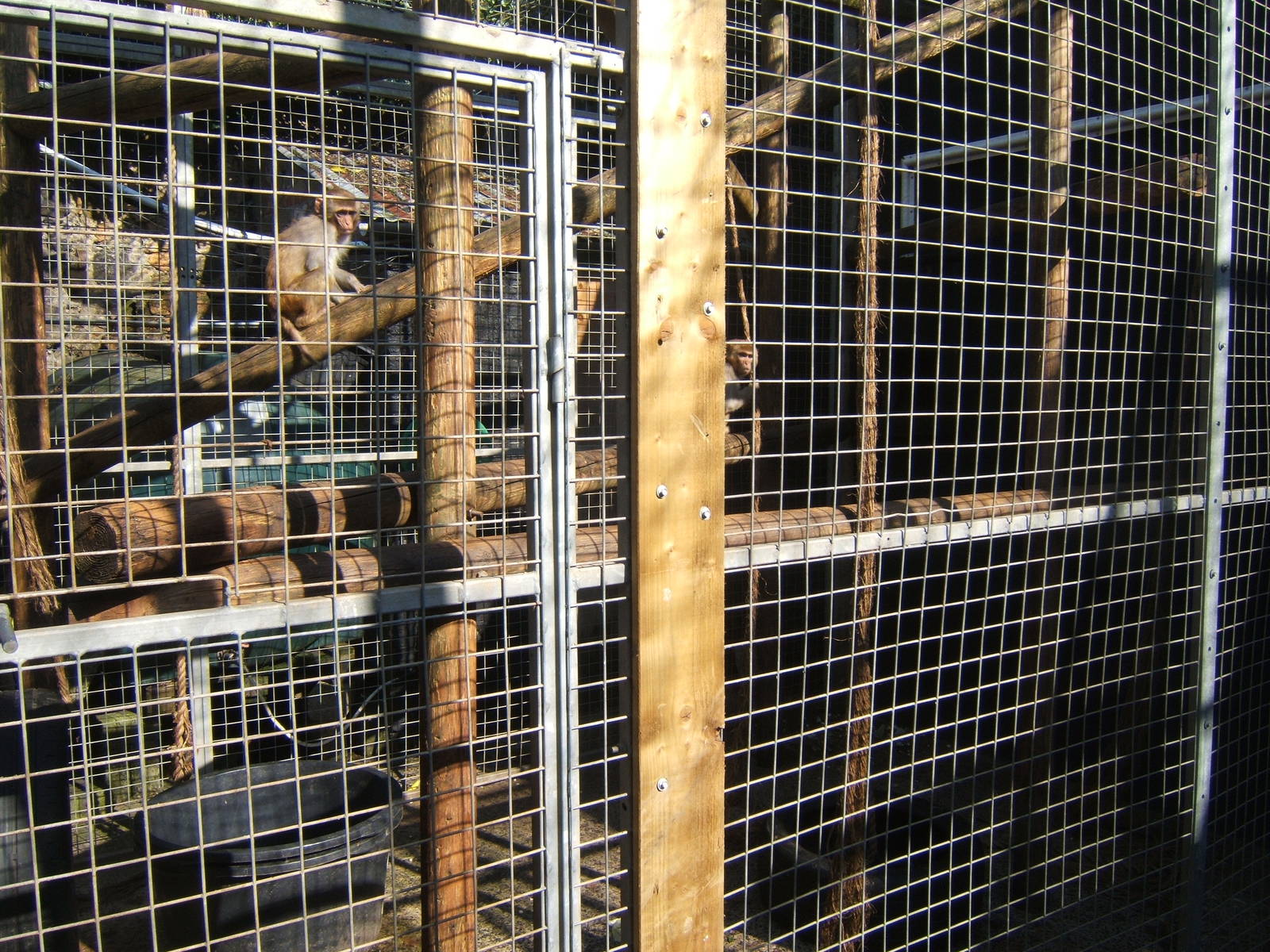 Jungle World Northern Ireland