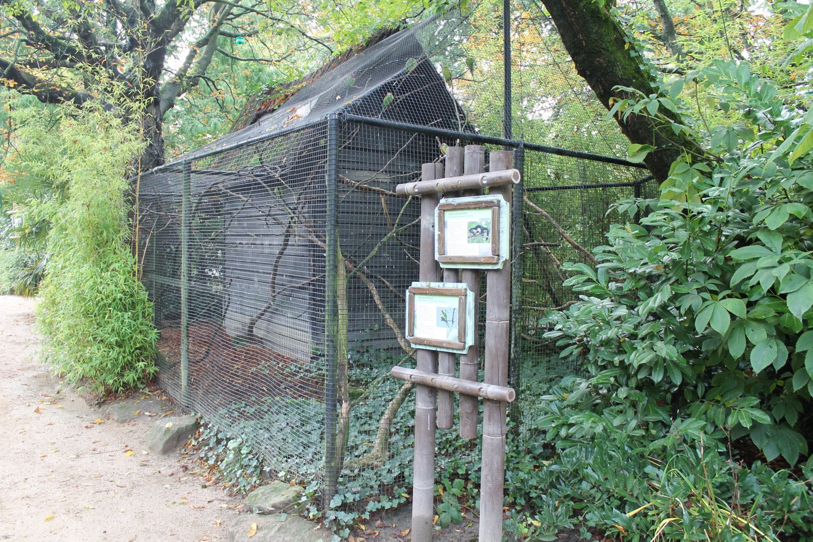 Junglefowl - Parakeet-enclosure