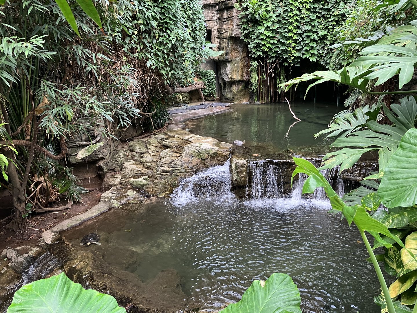Jungleworld - Indian Gharial Exhibit