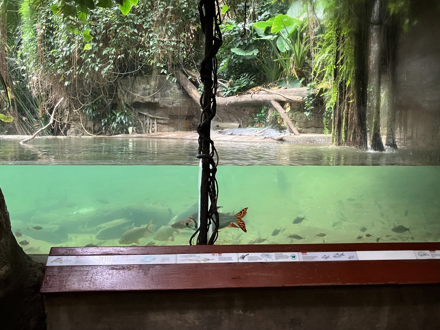 Jungleworld - Indian Gharial Exhibit