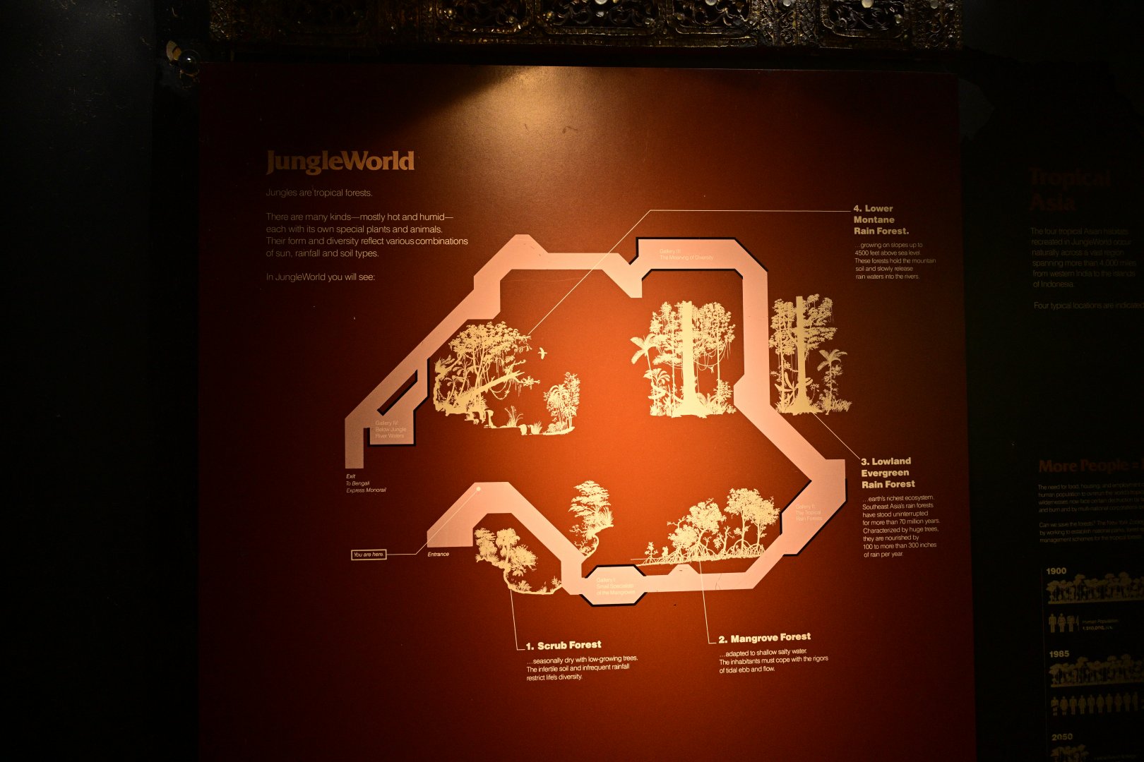 JungleWorld - Interior Map