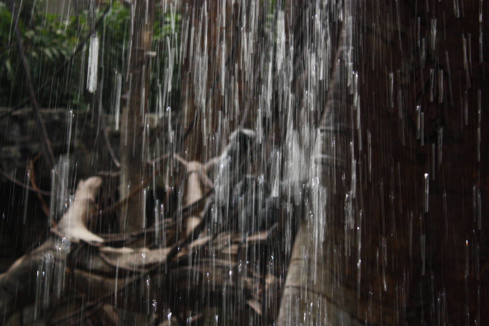 JungleWorld- Monkeys Through The Waterfall
