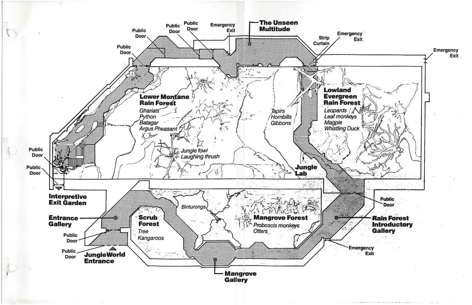 JungleWorld Original Plan