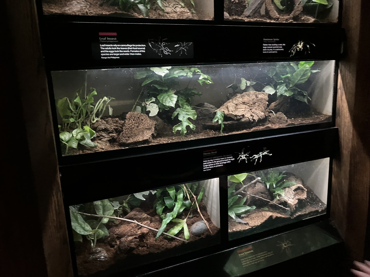 Jungleworld - Terrariums