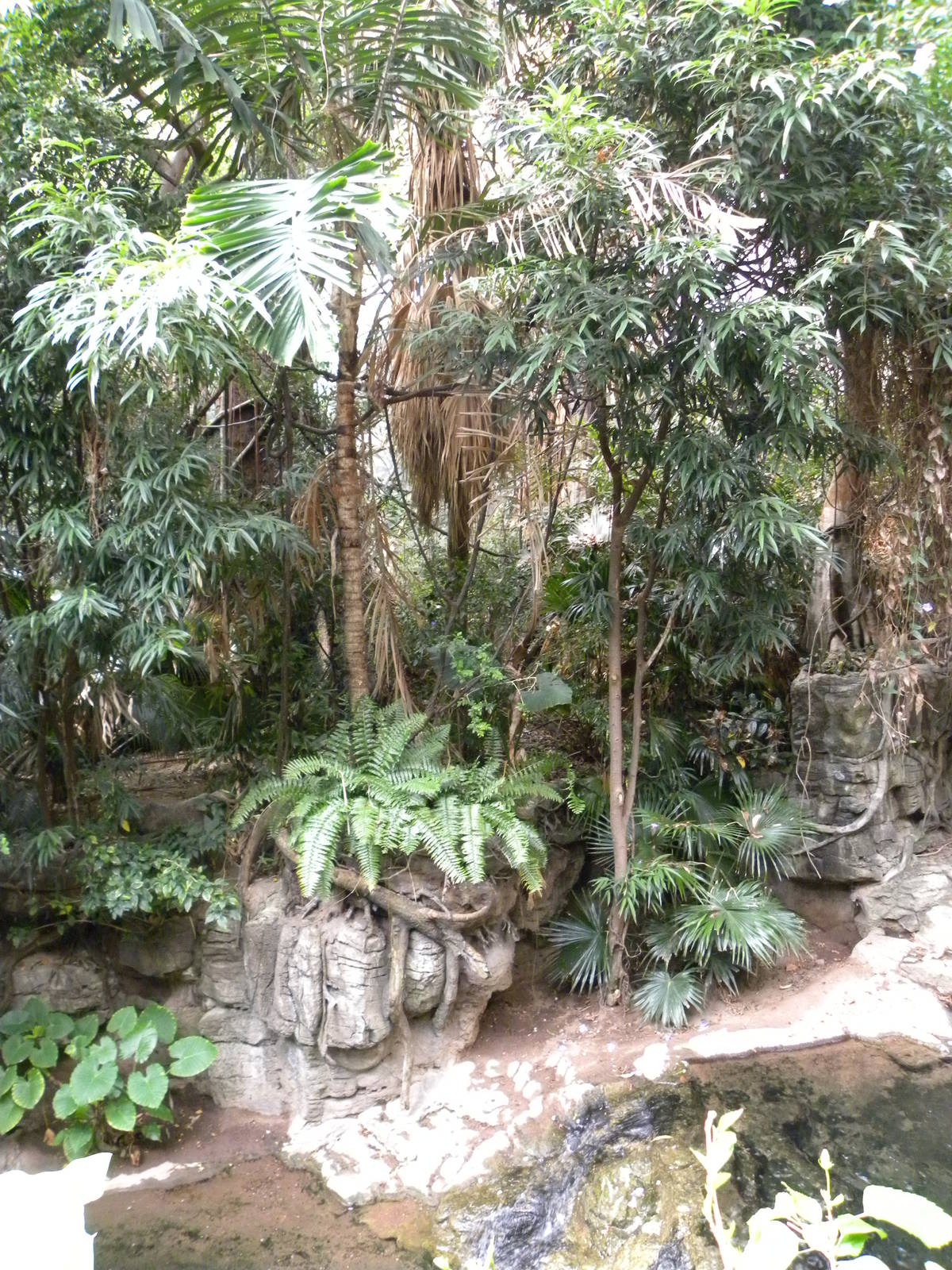 JungleWorld