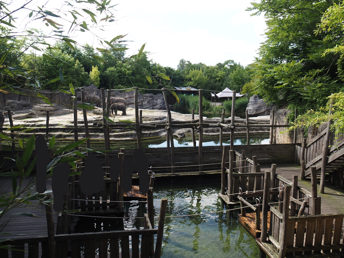 Jungola - Adventure area next to the Asian elephant exhibit, 2024-06-23