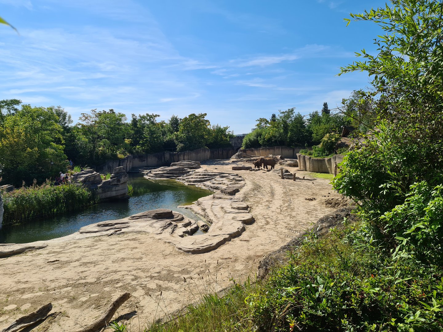 Jungola - Asian elephant enclosure