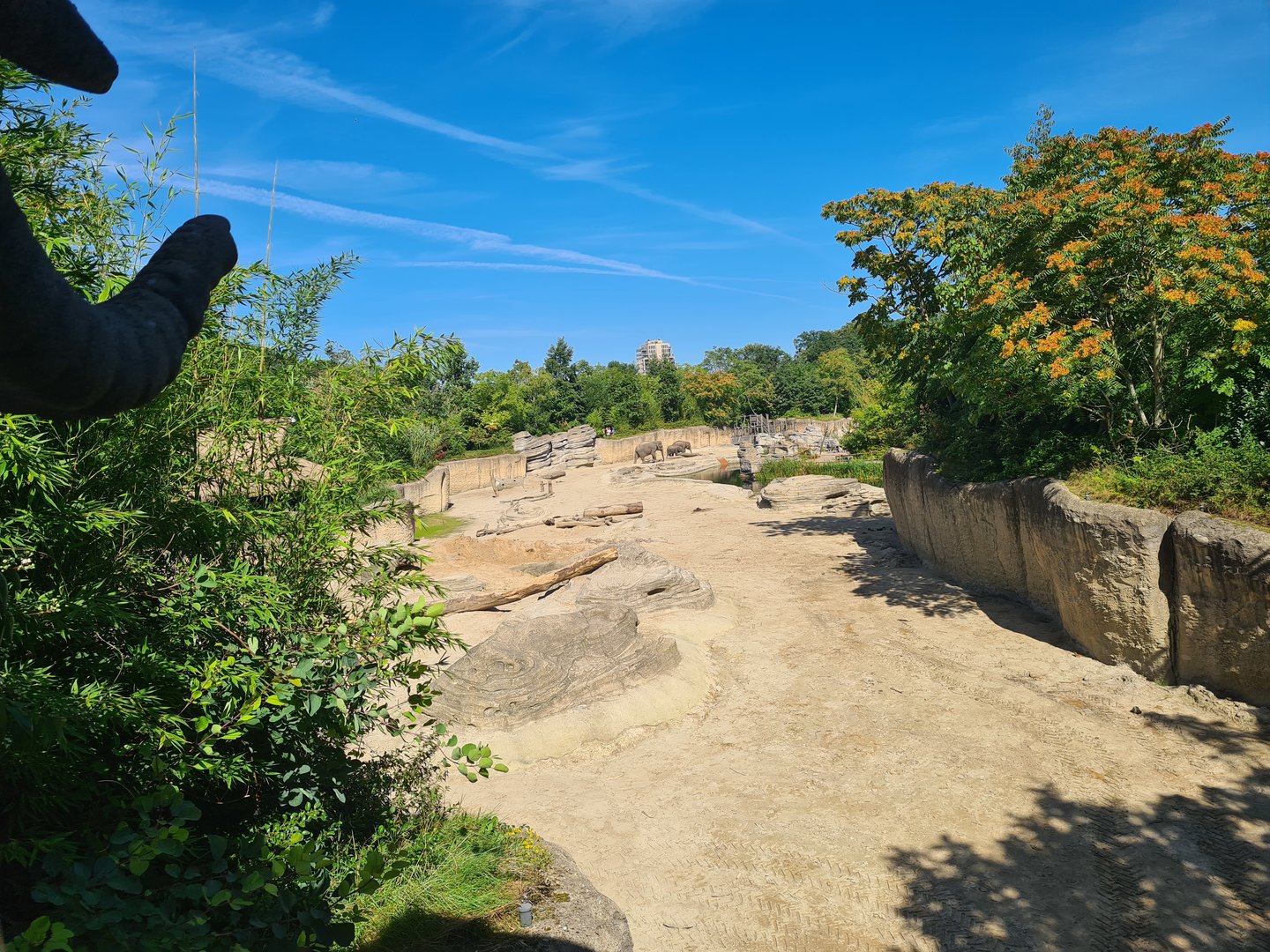 Jungola - Asian elephant enclosure