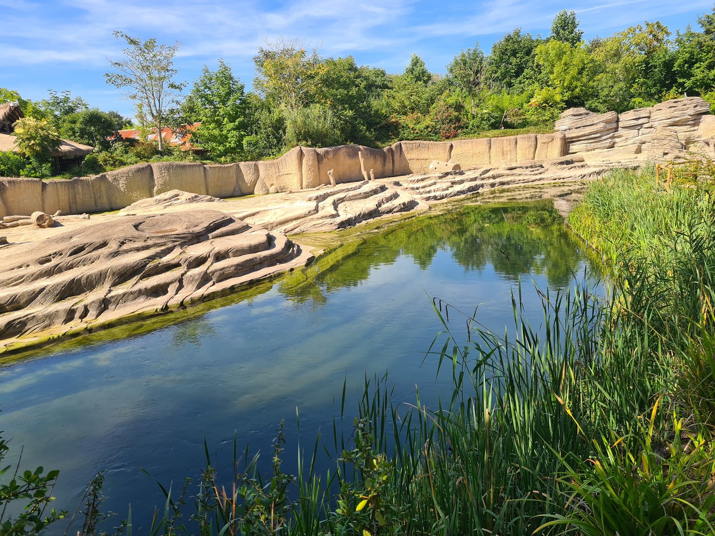 Jungola - Asian elephant enclosure
