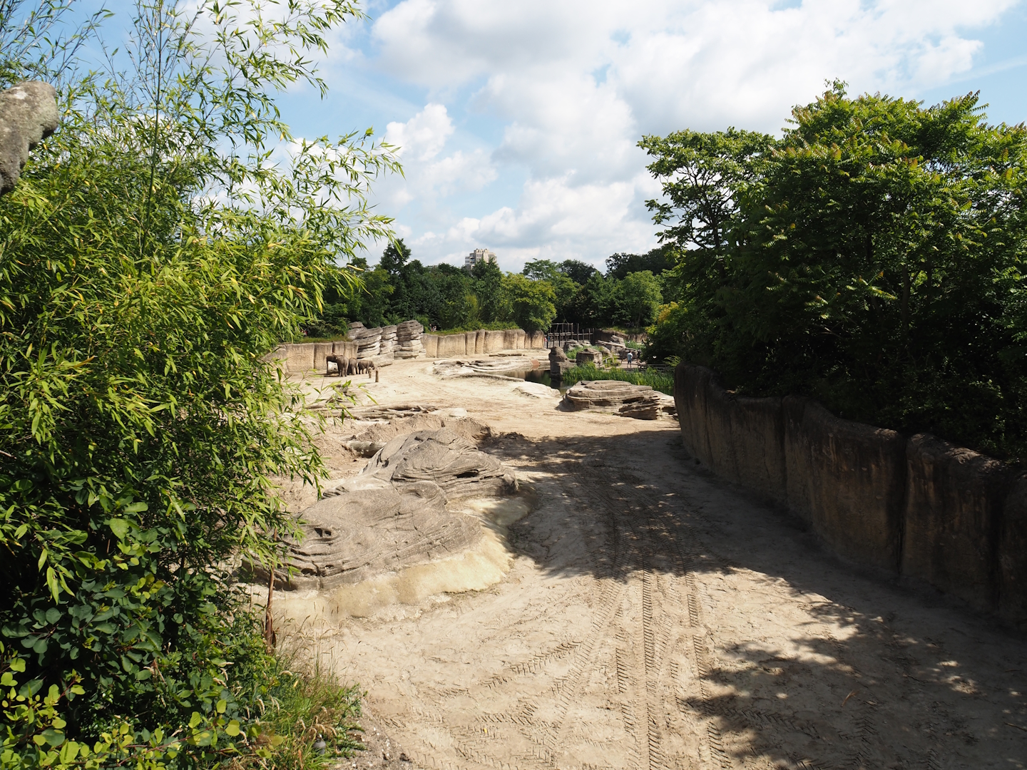 Jungola - Asian elephant exhibit, 2024-06-23
