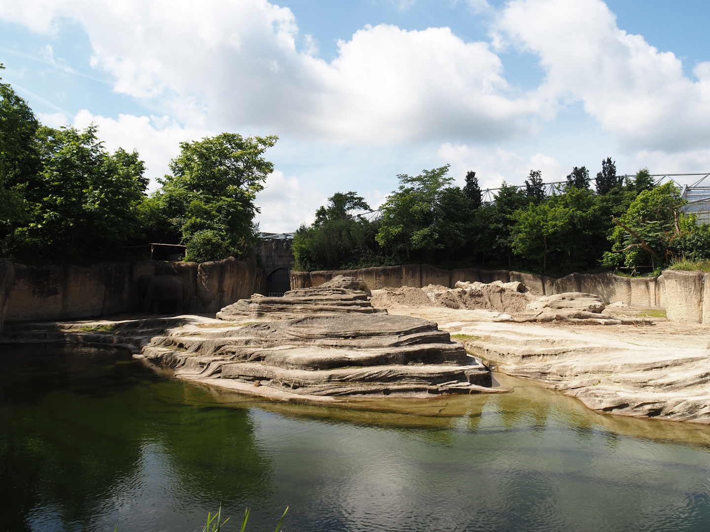 Jungola - Asian elephant exhibit, 2024-06-23
