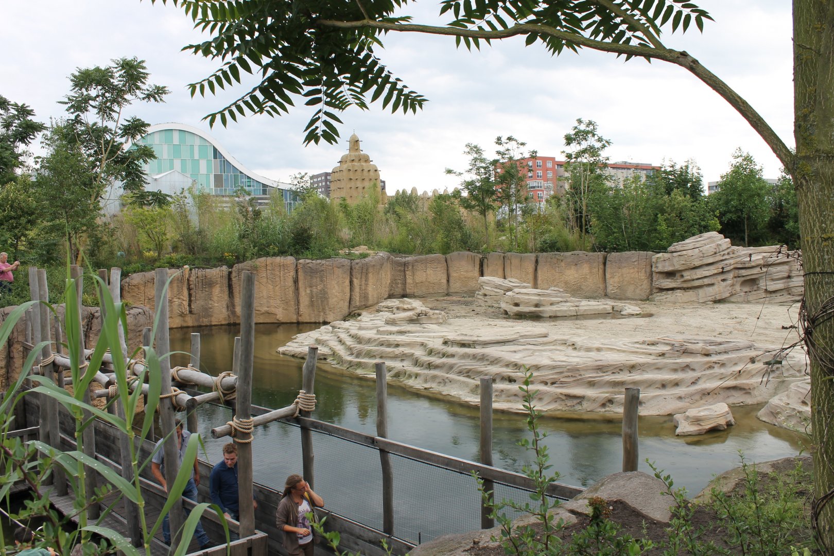 Jungola - Asian elephant outdoor enclosure