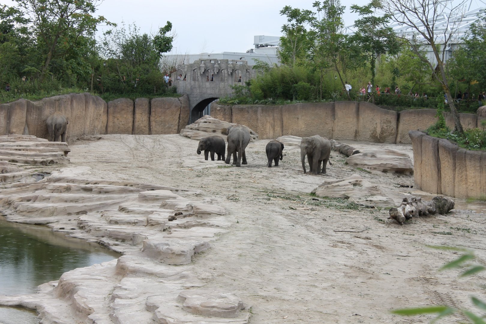 Jungola - Asian elephant outdoor enclosure