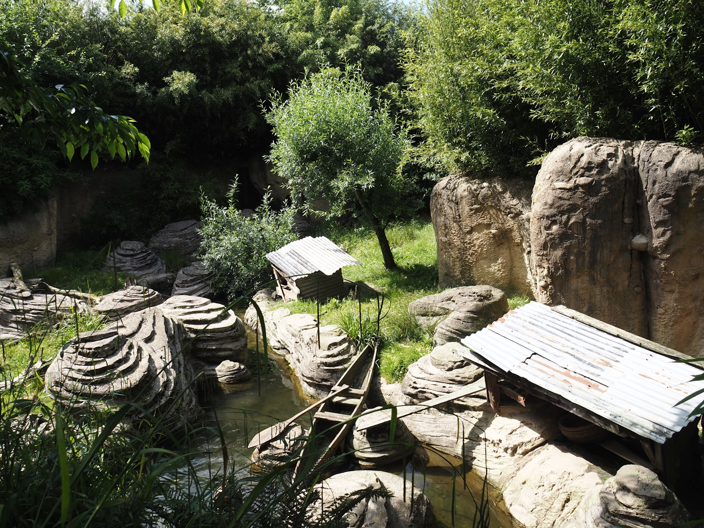 Jungola - Asian small-clawed otter exhibit, 2024-06-23