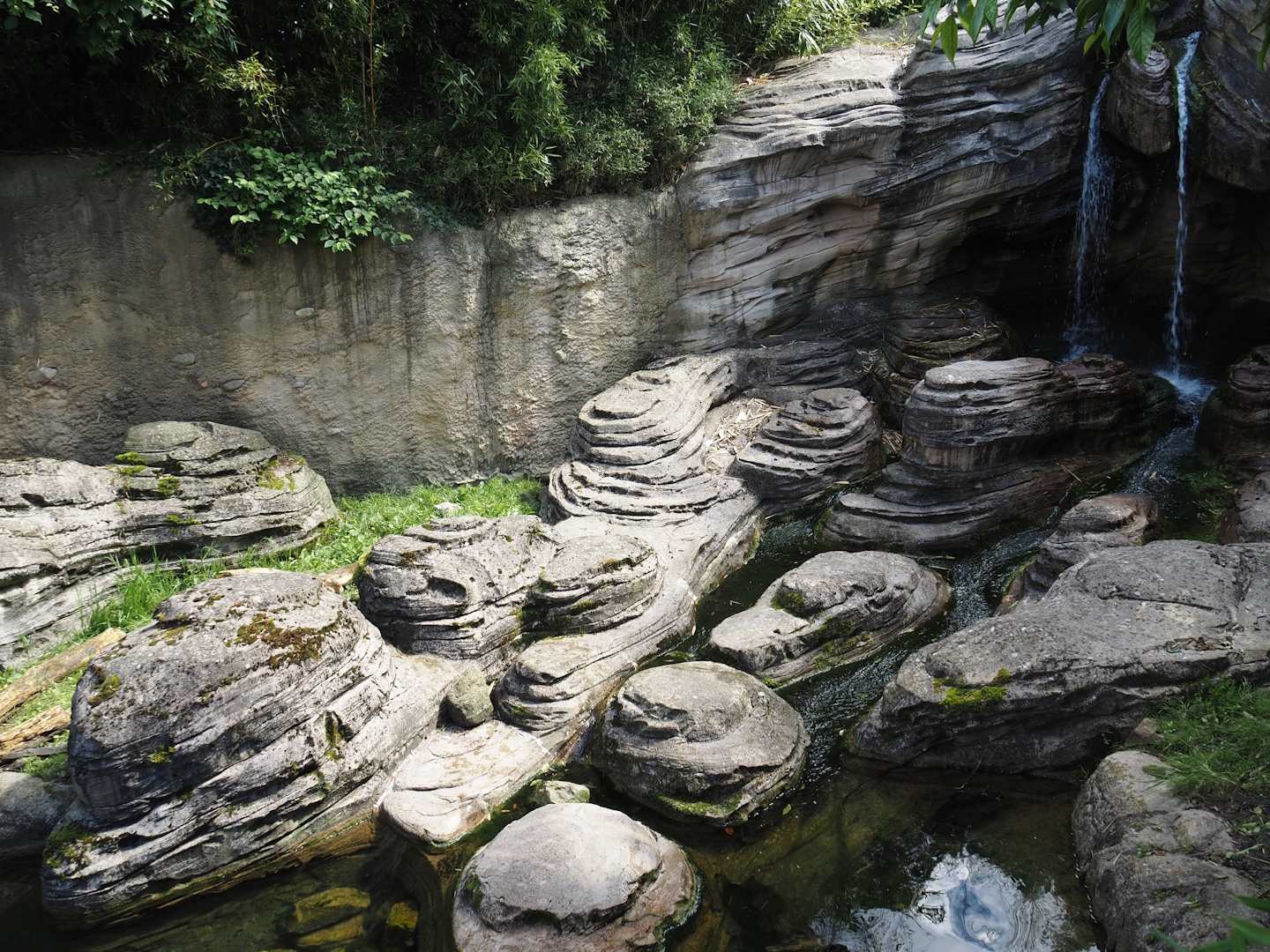 Jungola - Asian small-clawed otter exhibit, 2024-06-23