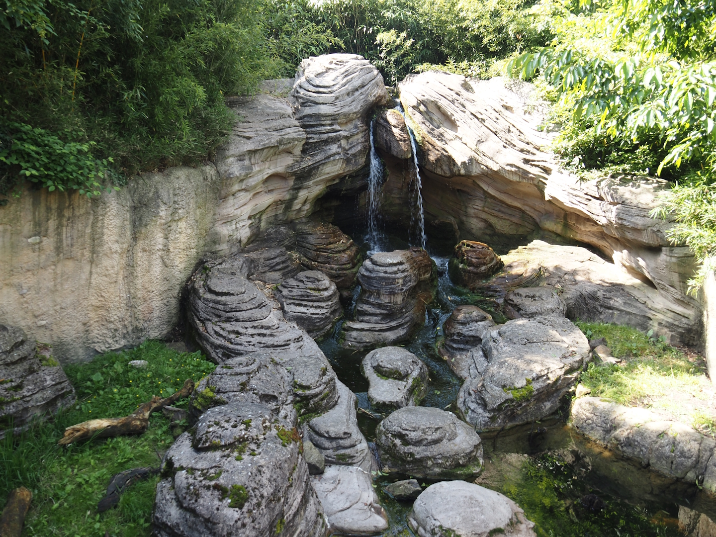 Jungola - Asian small-clawed otter exhibit, 2024-06-23