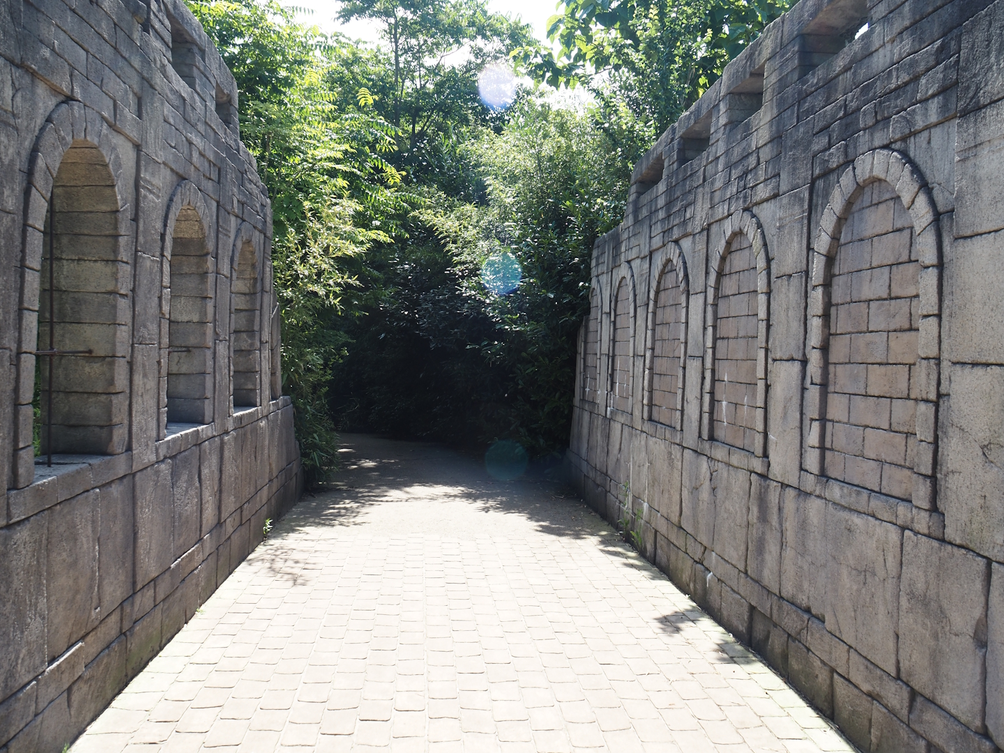Jungola - Bridge over Asian elephant corridor, 2024-06-23