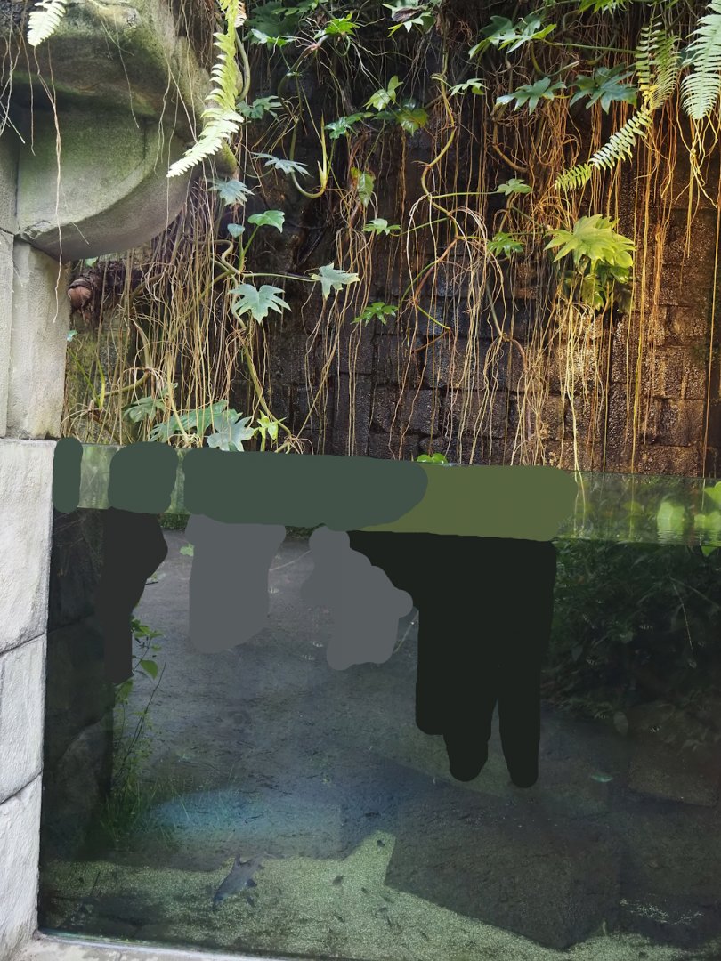 Jungola - Butterfly temple - Asian aquarium, 2024-06-23