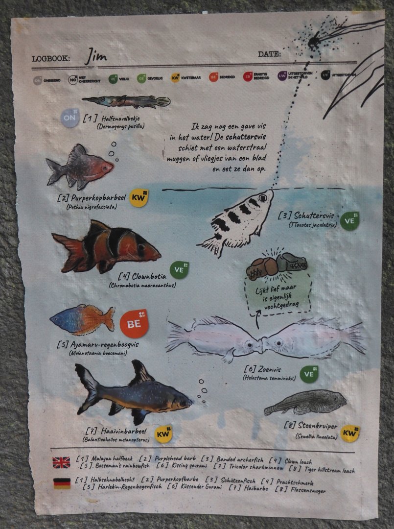 Jungola - Butterfly temple - Asian aquarium signage, 2024-06-23