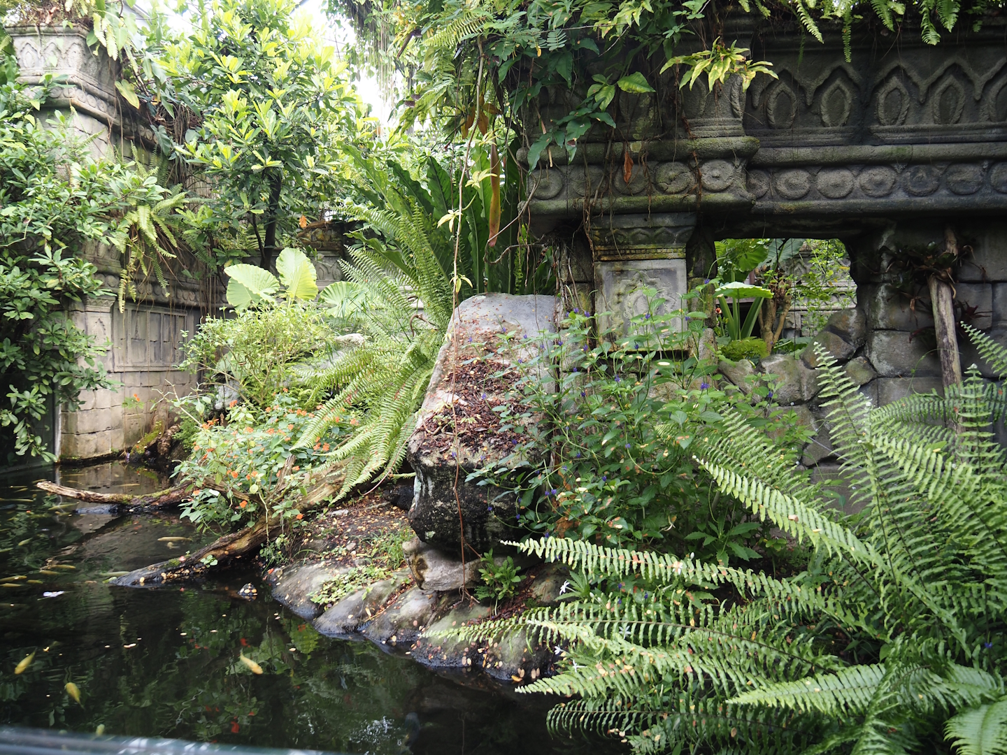 Jungola - Butterfly temple - Dwarf crocodile exhibit, 2024-06-23