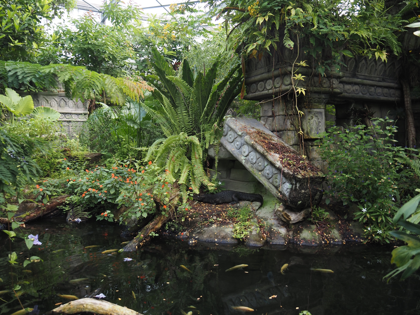 Jungola - Butterfly temple - Dwarf crocodile exhibit, 2024-06-23