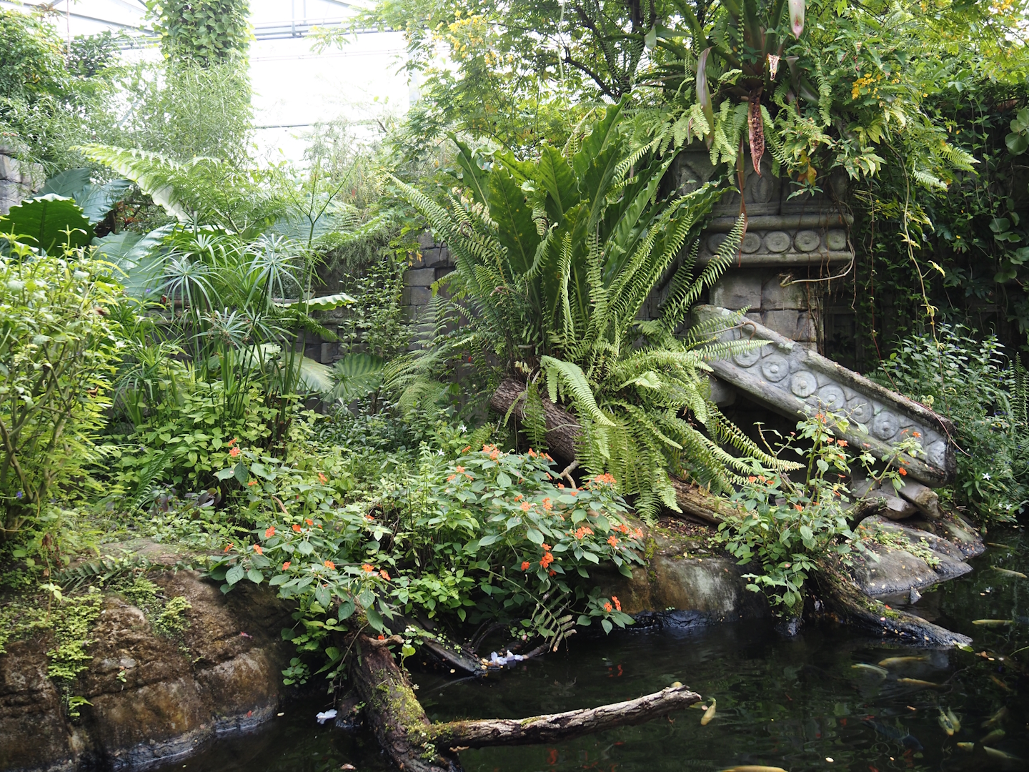 Jungola - Butterfly temple - Dwarf crocodile exhibit, 2024-06-23