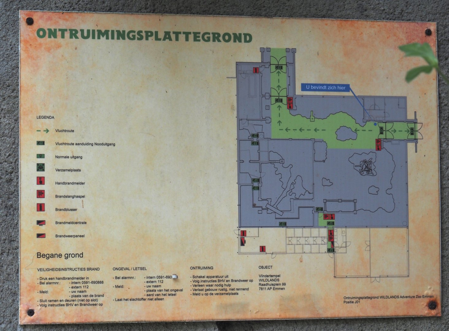 Jungola - Butterfly temple - Fire escape map, 2024-06-23