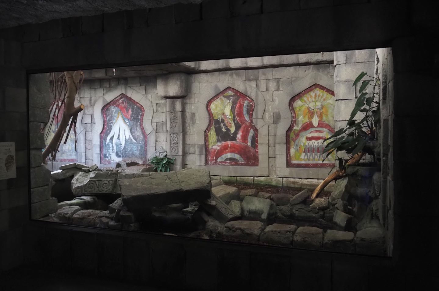 Jungola - Butterfly temple - Reticulated python terrarium, 2024-06-23