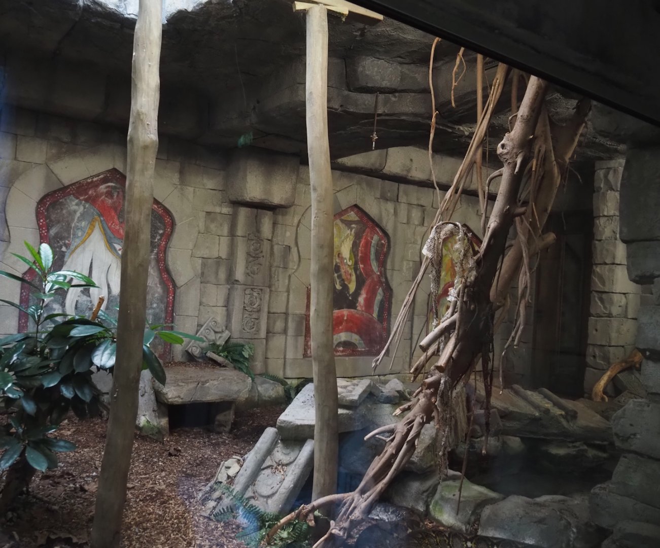 Jungola - Butterfly temple - Reticulated python terrarium, 2024-06-23