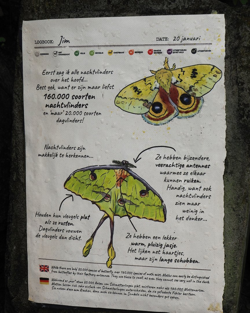 Jungola - Butterfly temple - Signage about moths, 2024-06-23